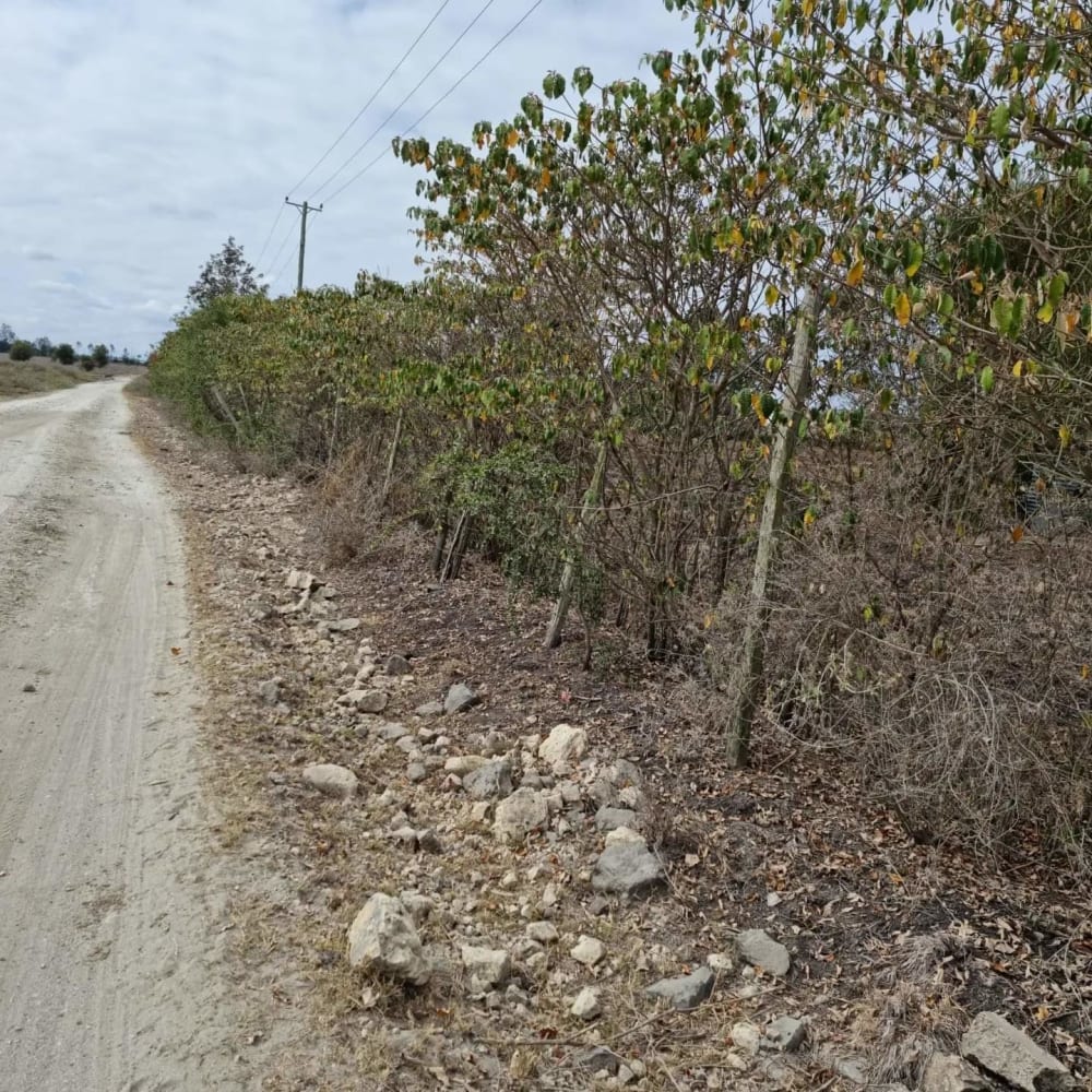 Land for sale in Kajiado