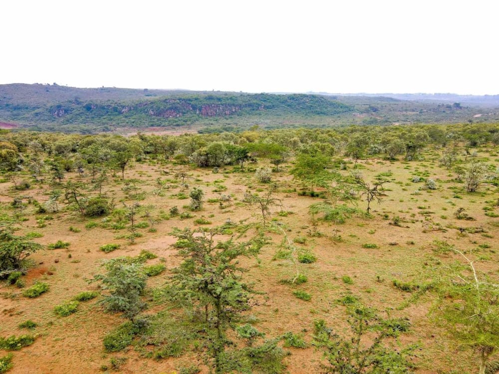 Land for sale in Kajiado