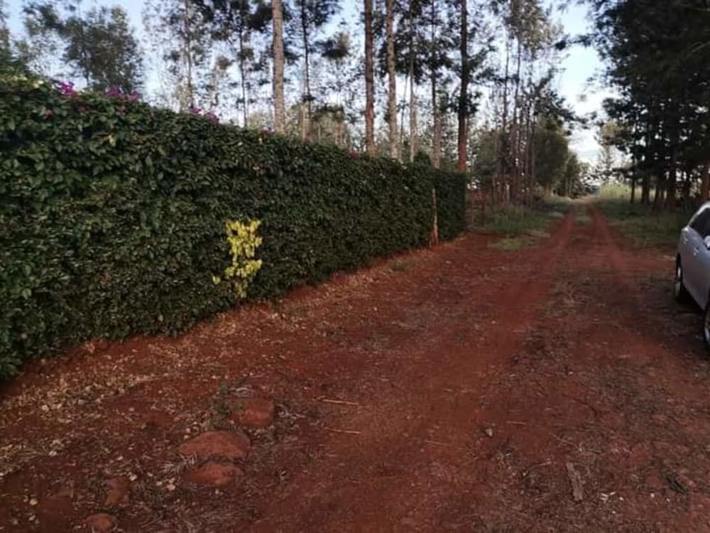 Land for sale in Githunguri - Kiambu County