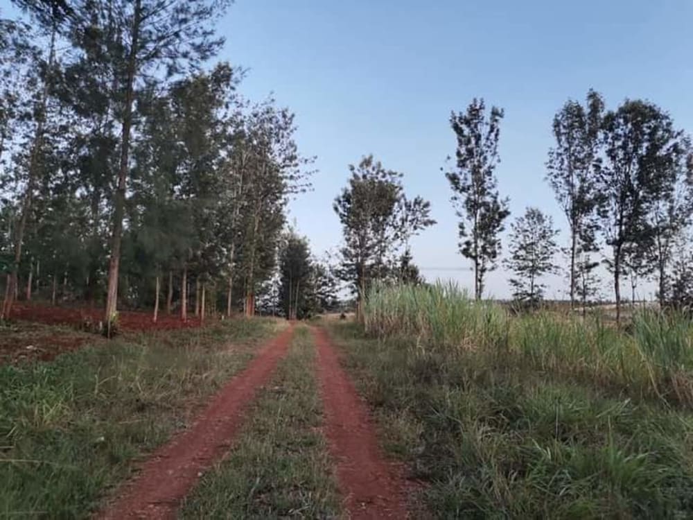 Land for sale in Githunguri - Kiambu County