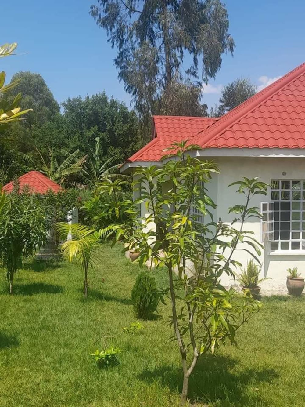 3 bedroom Land for sale in Koyonzo