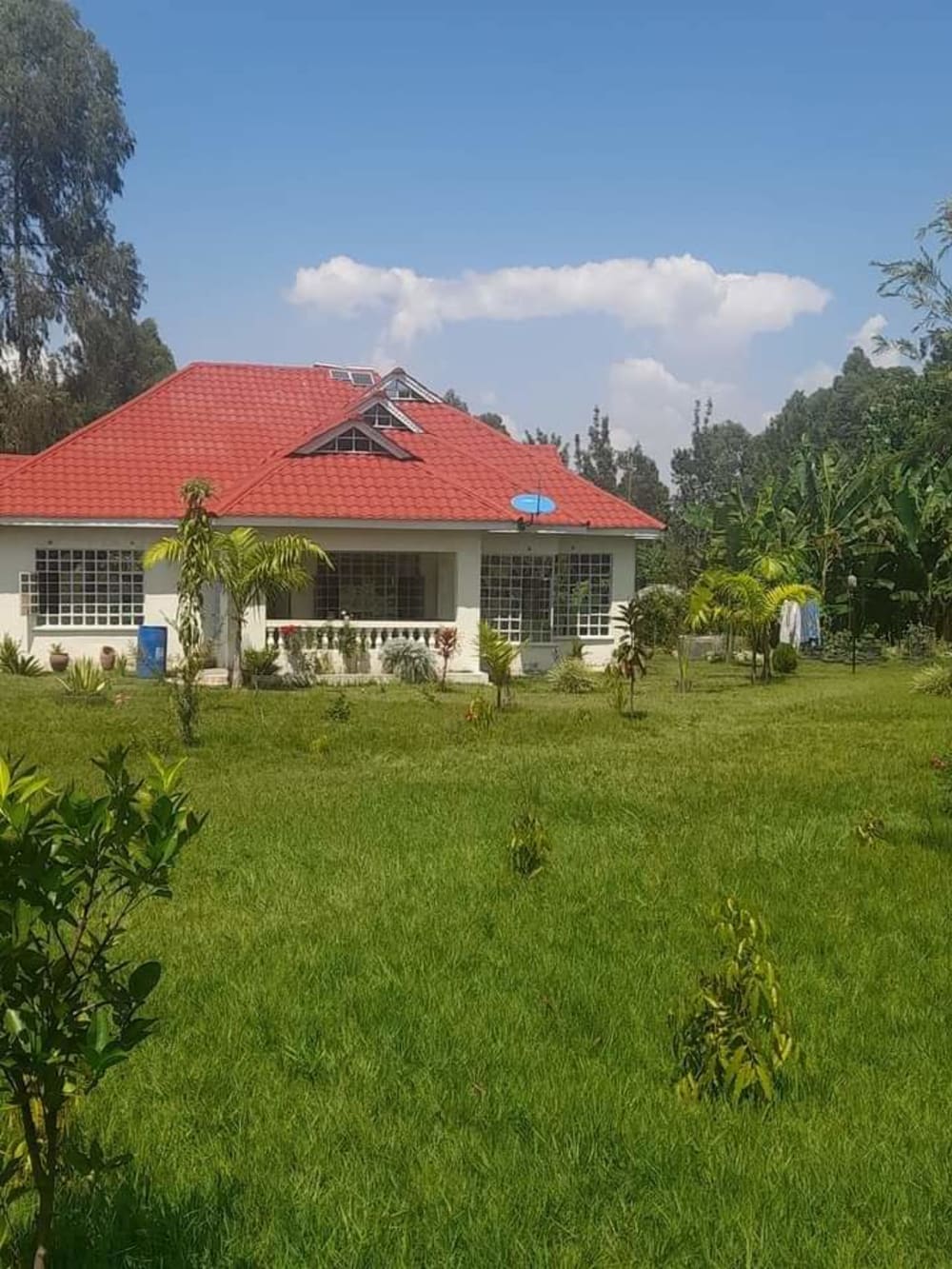 3 bedroom Land for sale in Koyonzo