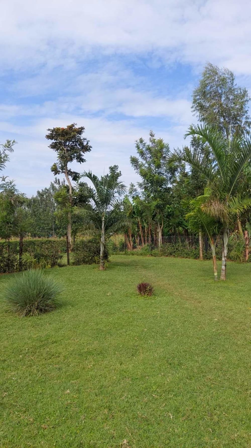 Land for sale in Butere - Kakamega