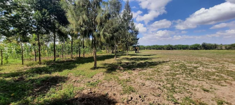 Land for sale in Nanyuki