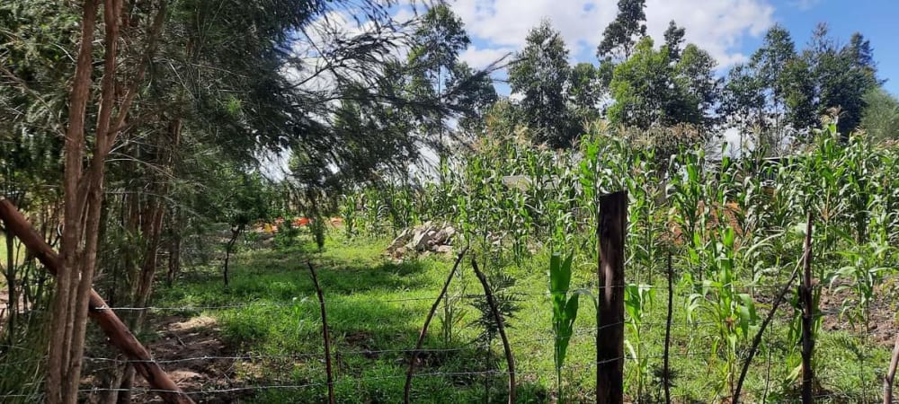 Land for sale in Nanyuki