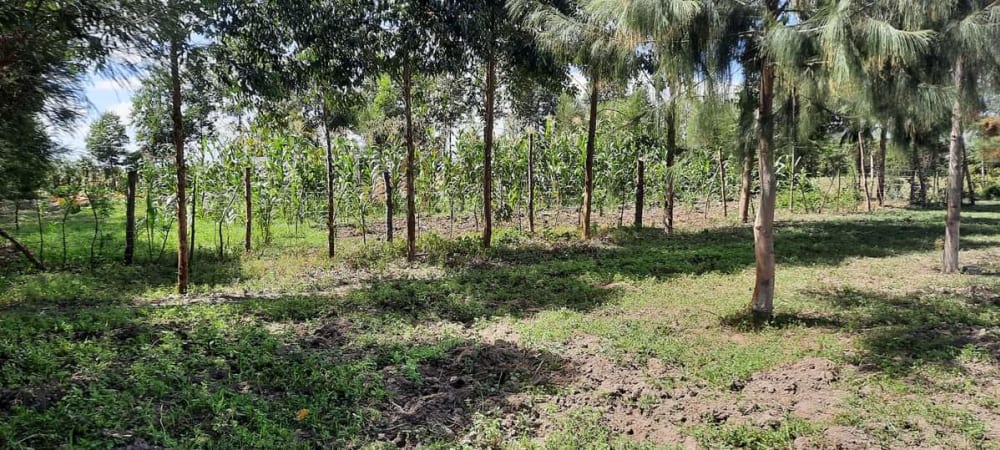 Land for sale in Nanyuki