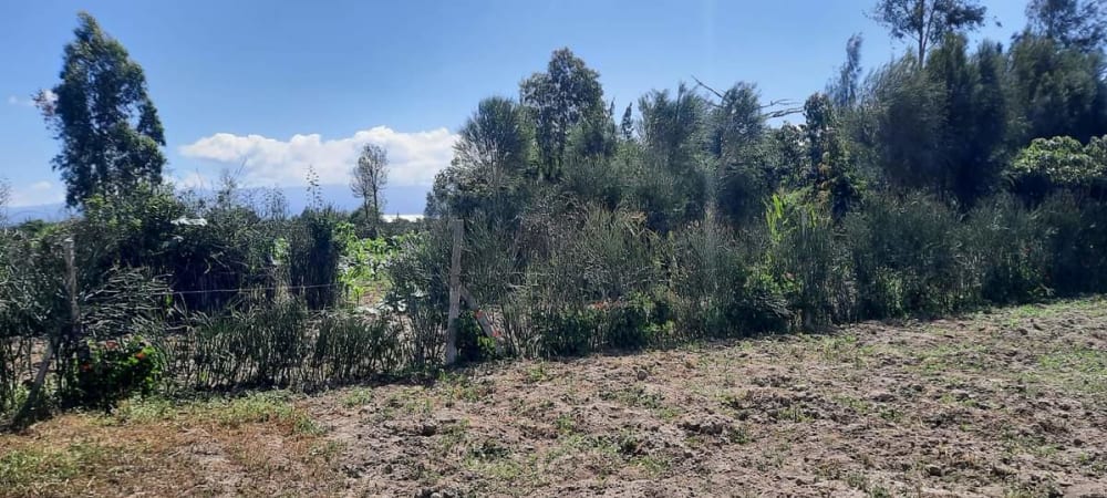 Land for sale in Nanyuki