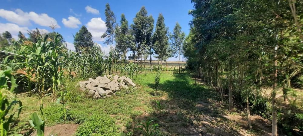 Land for sale in Nanyuki