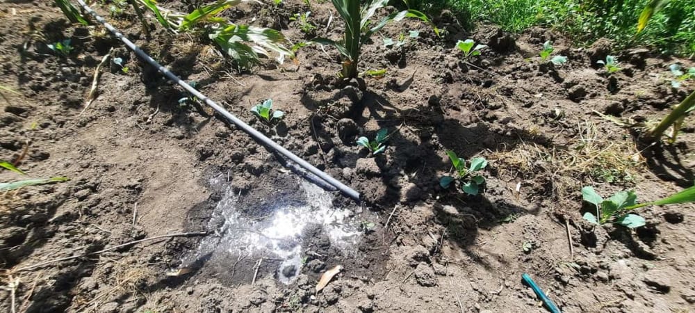 Land for sale in Nanyuki