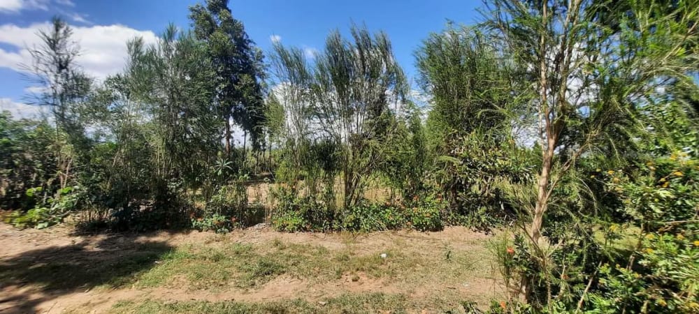 Land for sale in Nanyuki