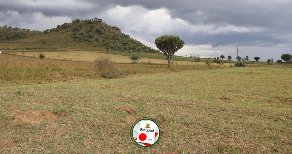 Land for sale in Naivasha