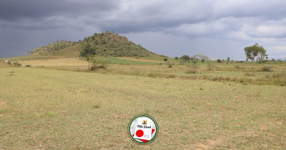 Land for sale in Naivasha