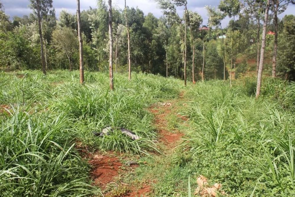 Land for sale in Githunguri - Kiambu County