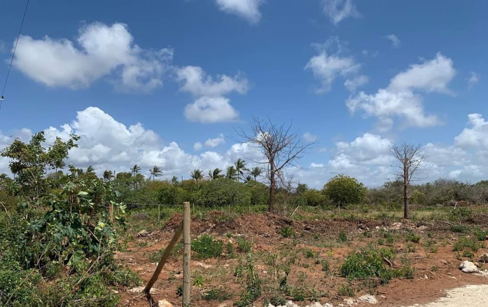 Land for sale in Kilifi
