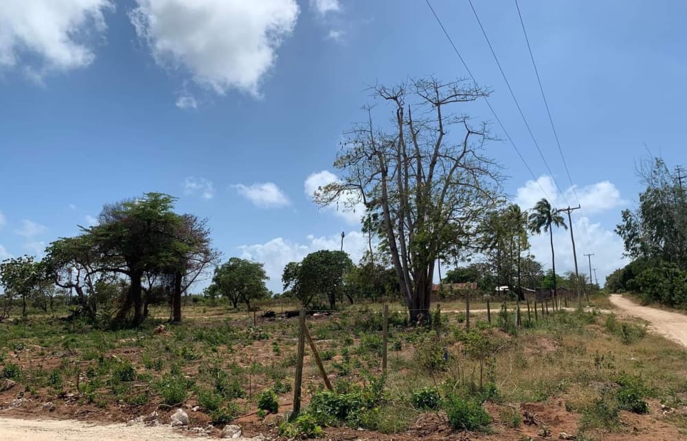 Land for sale in Kilifi
