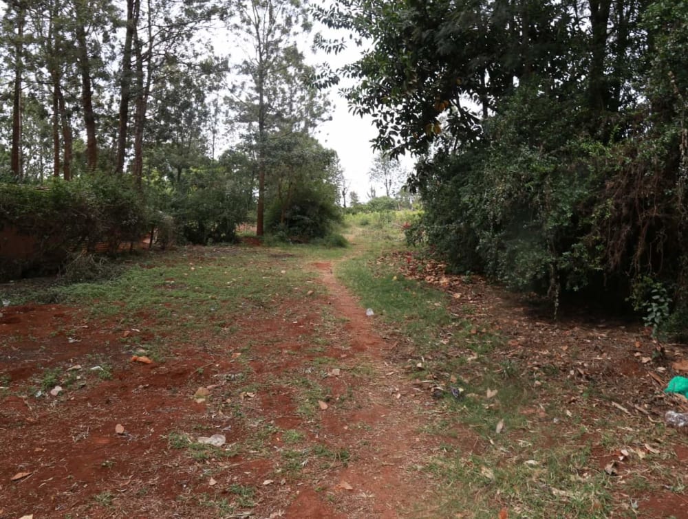 Land for sale in Runda