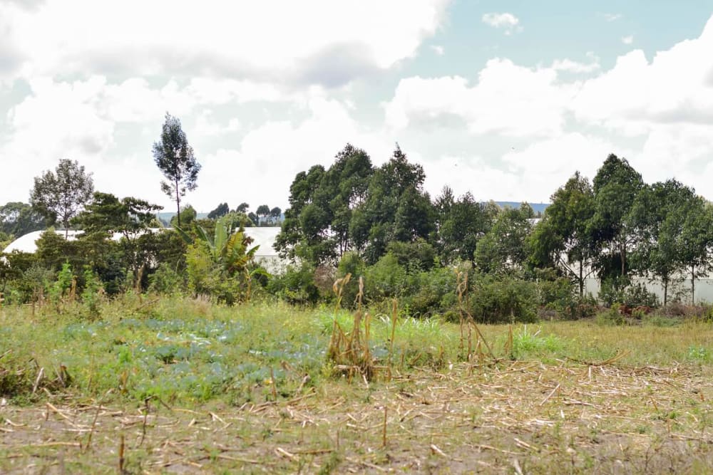 Land for sale in Njoro - Nakuru County