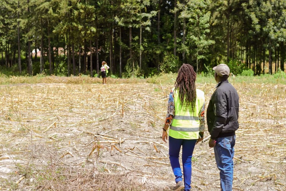 Land for sale in Njoro - Nakuru County