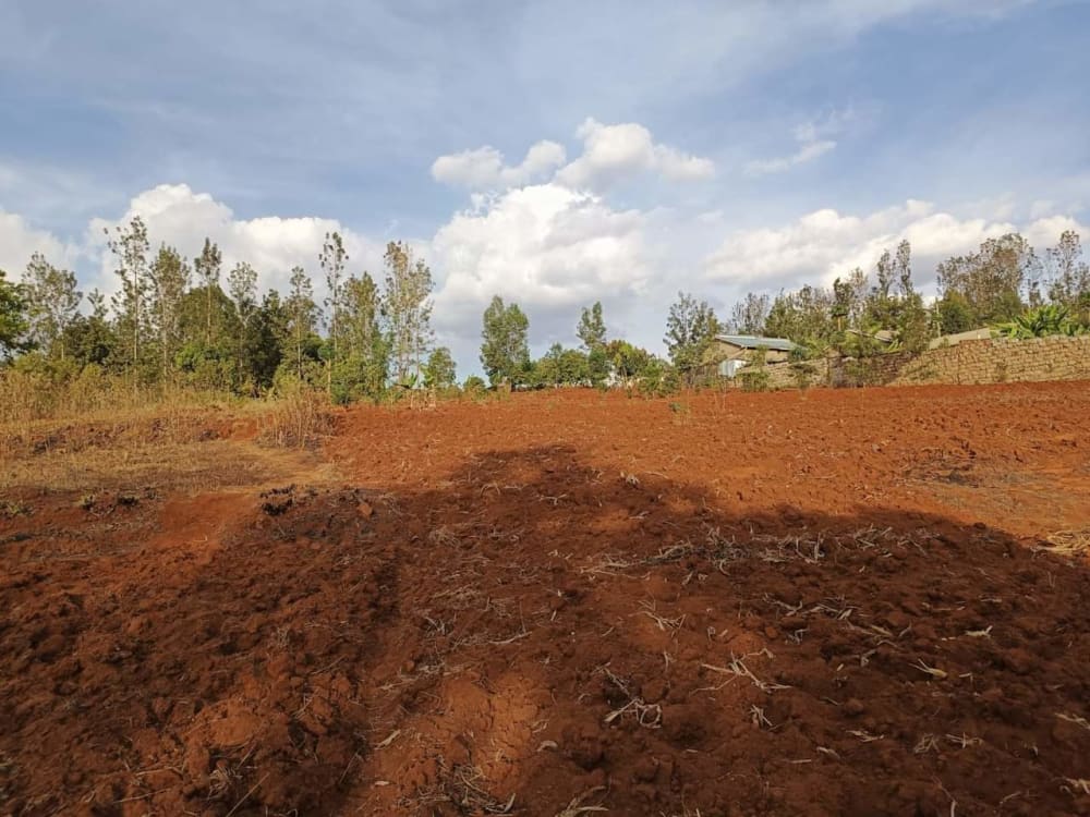 Land for sale in Makuyu close to Kakuzi