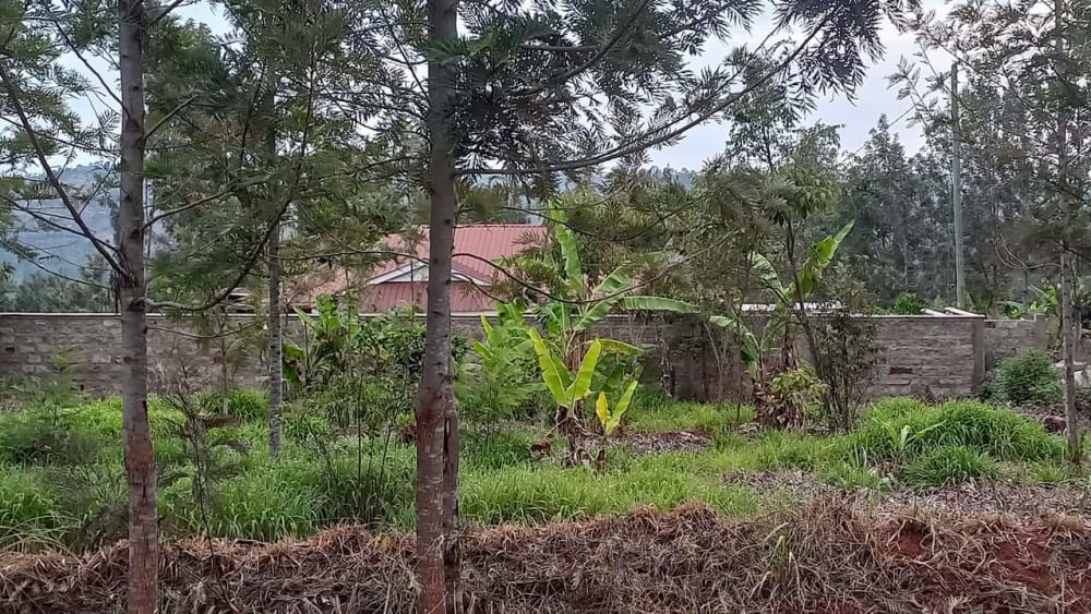 Land for sale in Makuyu close to Kakuzi
