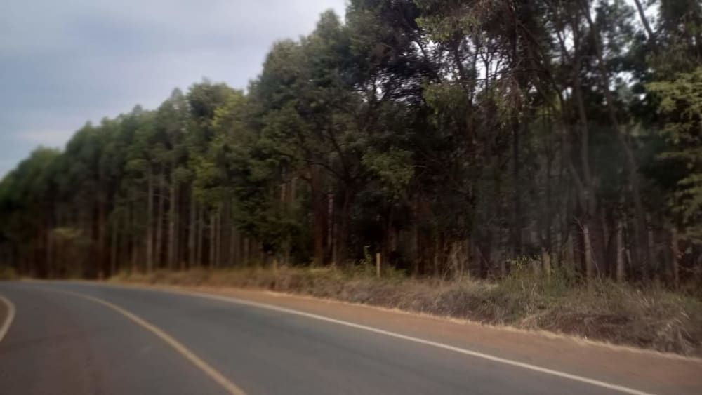 Land for sale in Makuyu close to Kakuzi