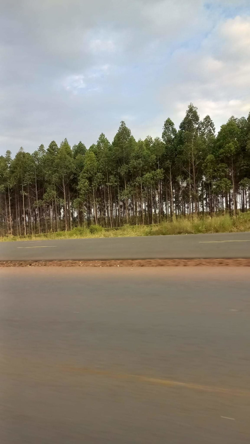 Land for sale in Makuyu close to Kakuzi