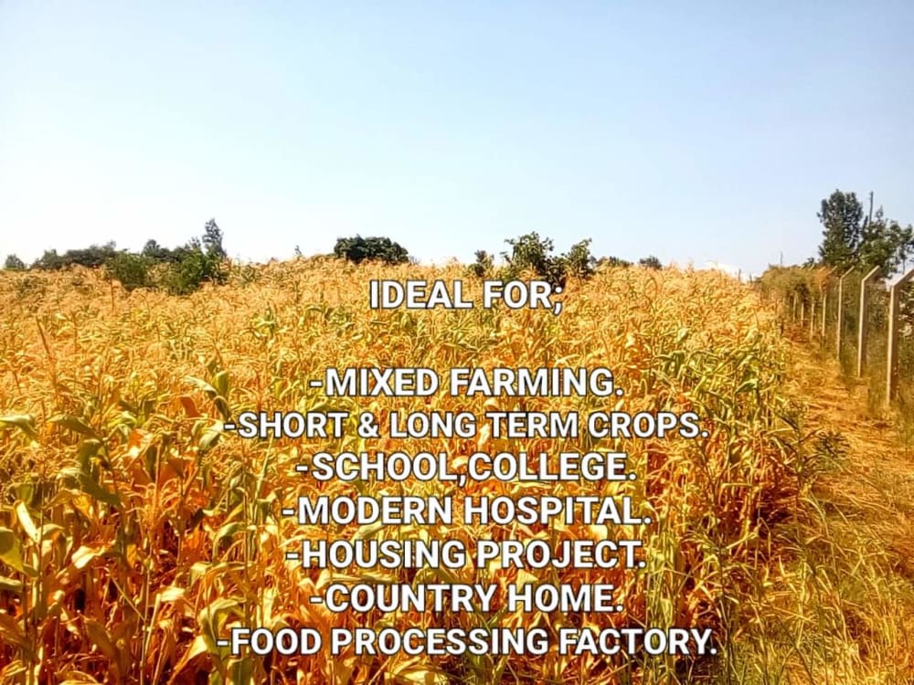 Land for sale in Maragua - Murang'aCounty