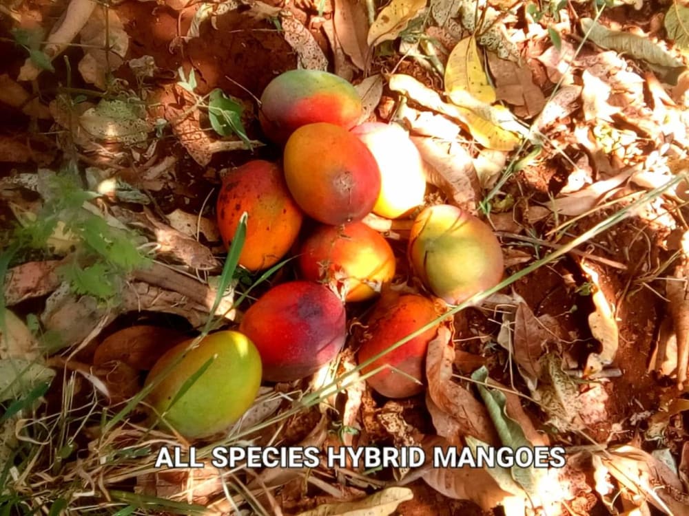 Land for sale in Maragua - Murang'aCounty