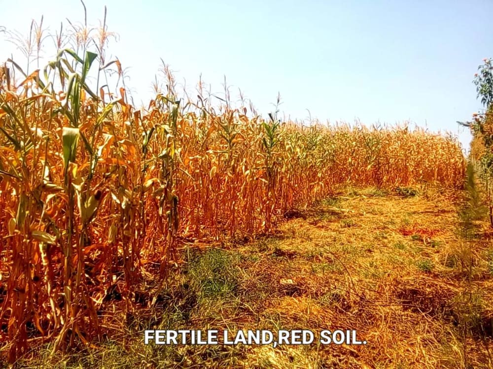 Land for sale in Maragua - Murang'aCounty