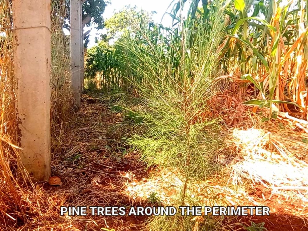 Land for sale in Maragua - Murang'aCounty