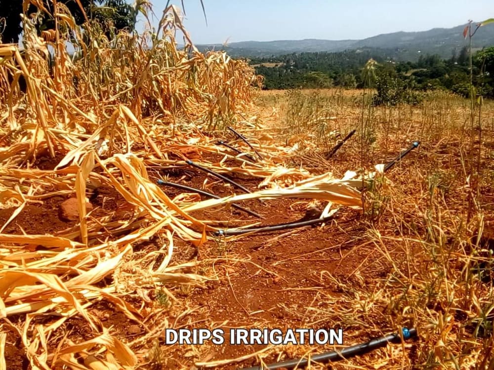 Land for sale in Maragua - Murang'aCounty