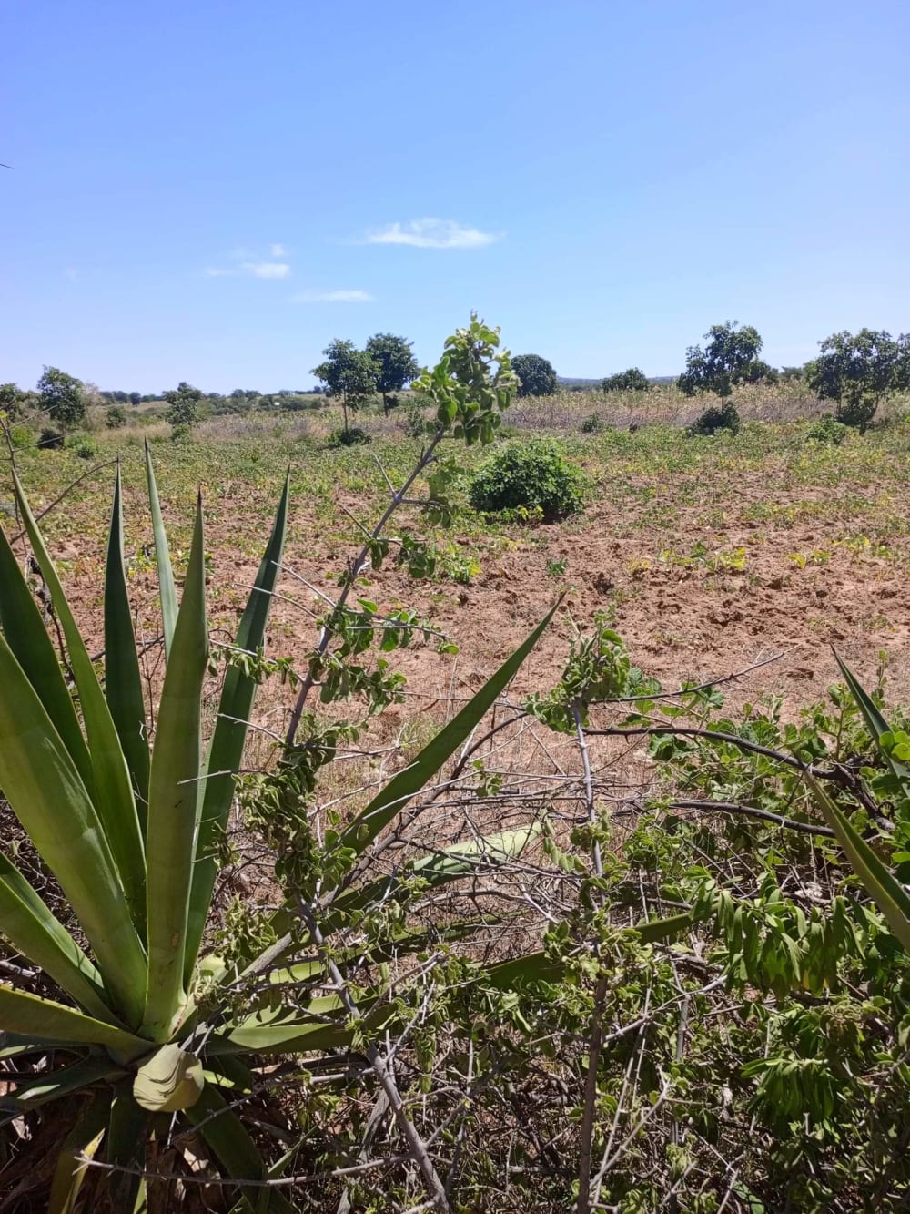Land for sale in Matuu - Kitui County