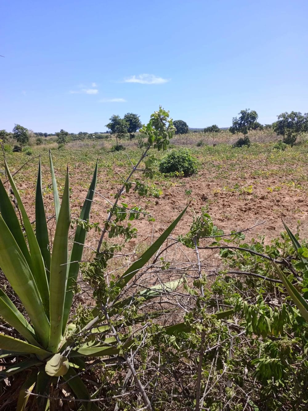 Land for sale in Matuu - Kitui County