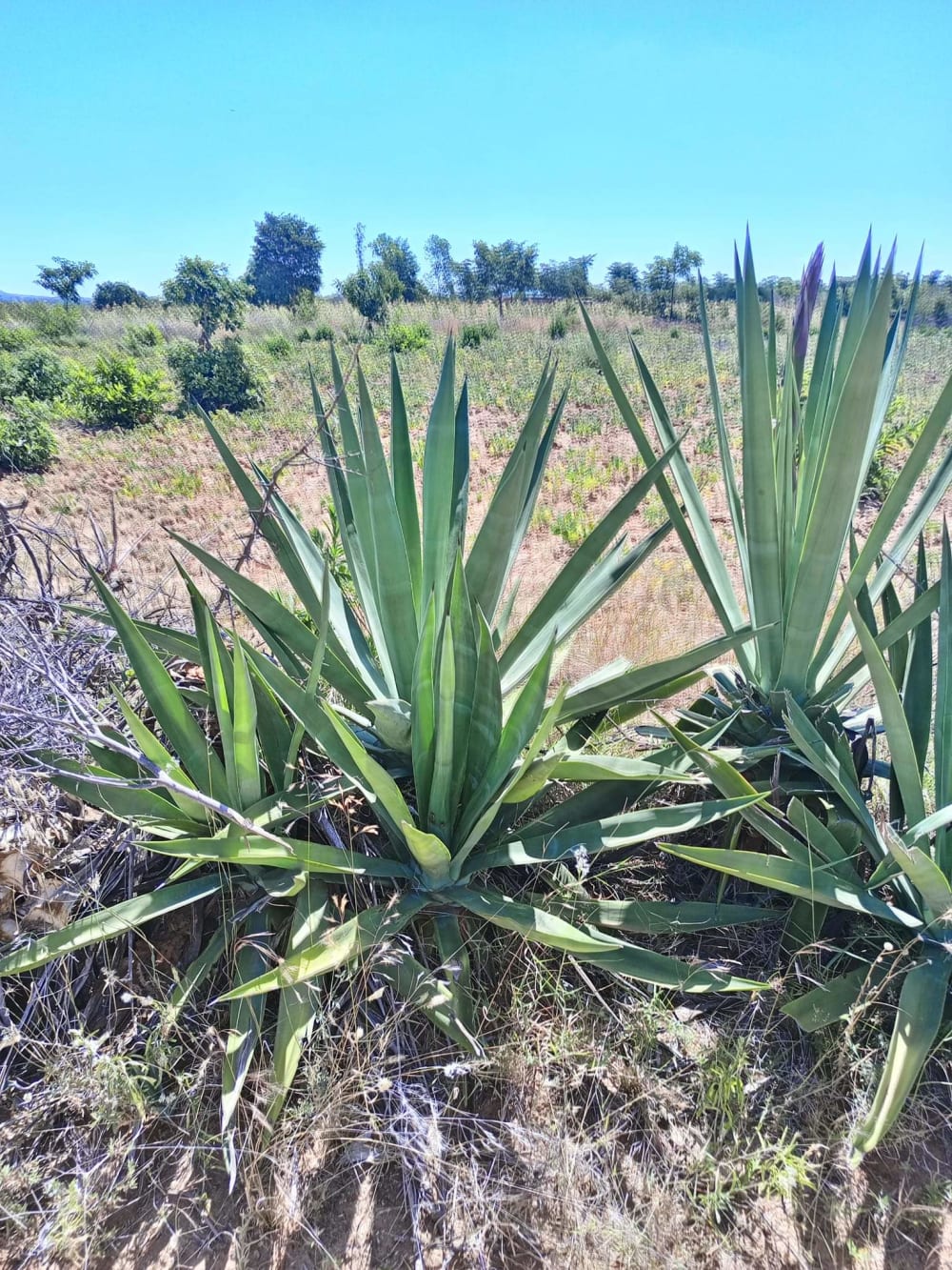 Land for sale in Matuu - Kitui County