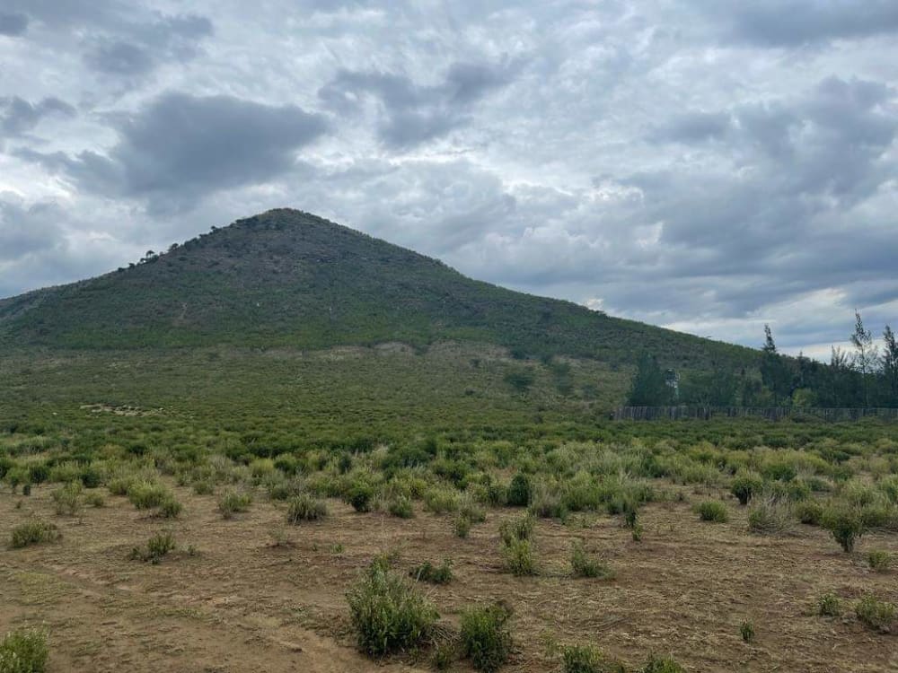 Land for sale in Gilgil