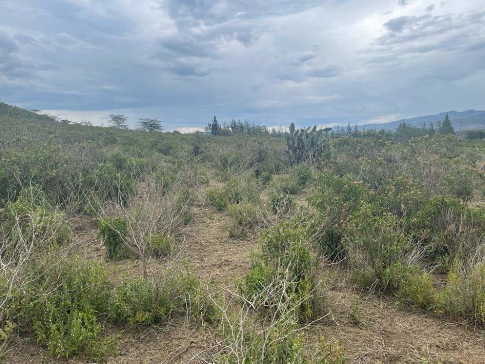 Land for sale in Gilgil