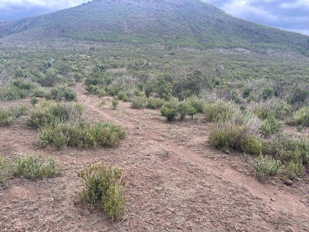 Land for sale in Gilgil