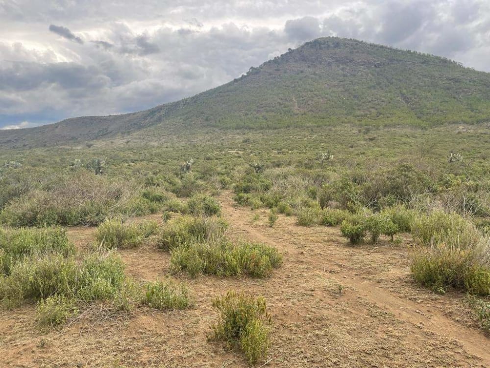 Land for sale in Gilgil