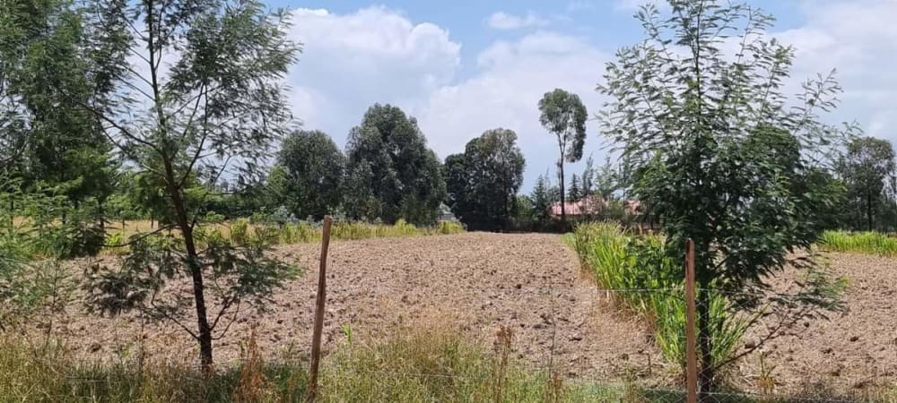 Land for sale in  Nanyuki Airstrip Side