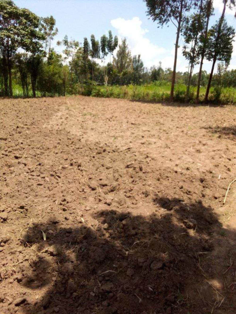 3 bedroom Land for sale in Ndengelwa Market, Bungoma 