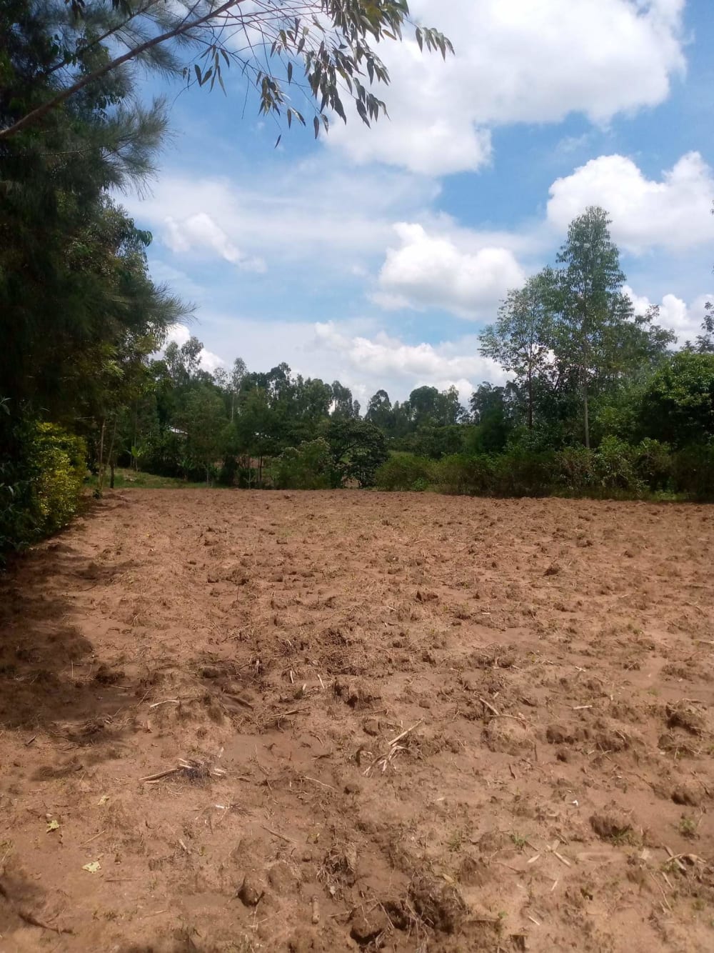 Land for sale in Mumias Road, Makunga