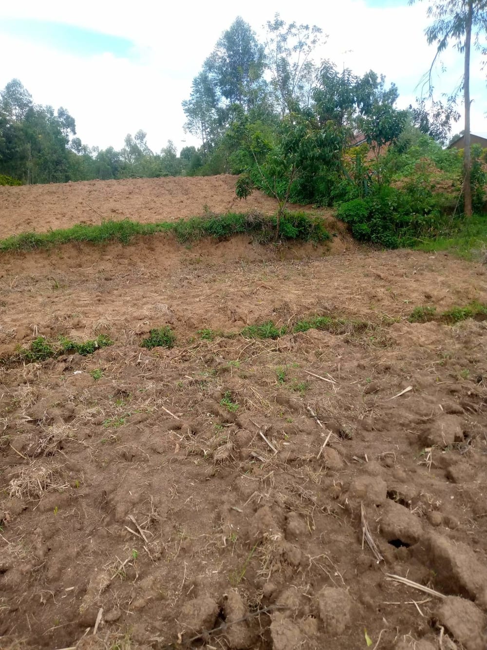 Land for sale in Mumias Road, Makunga