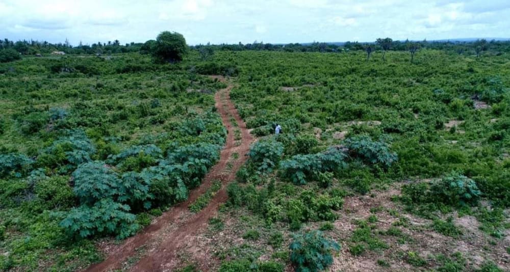Land for sale in Malindi