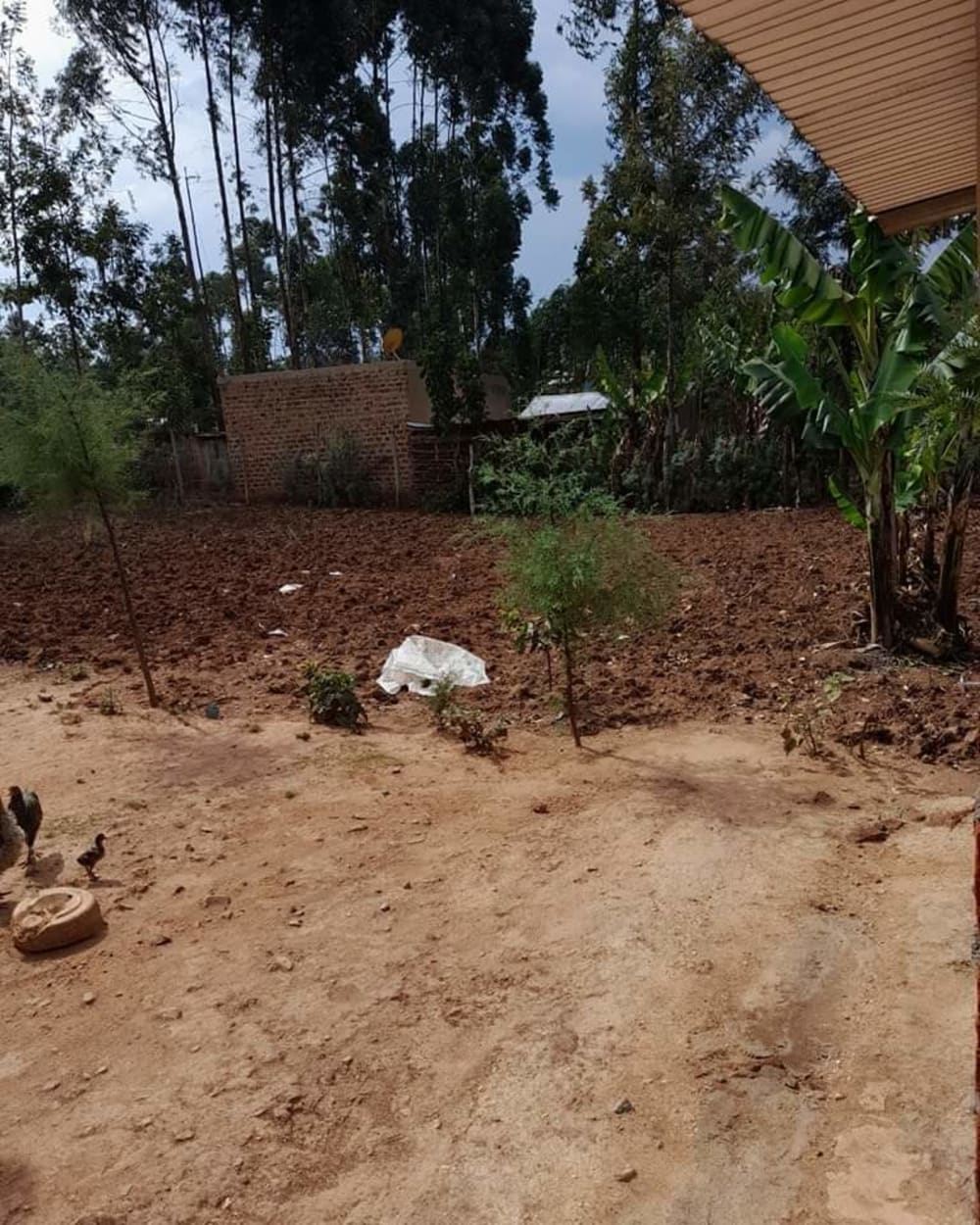 3 bedroom Land for sale in Kiminini