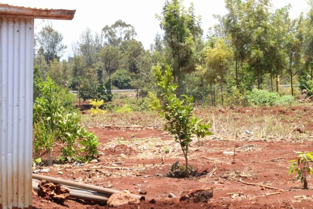 Land for sale in Sagana, Kirinyaga County 