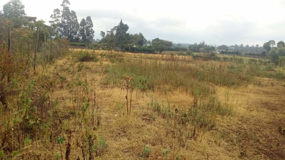 Land for sale in Ngecha, Limuru