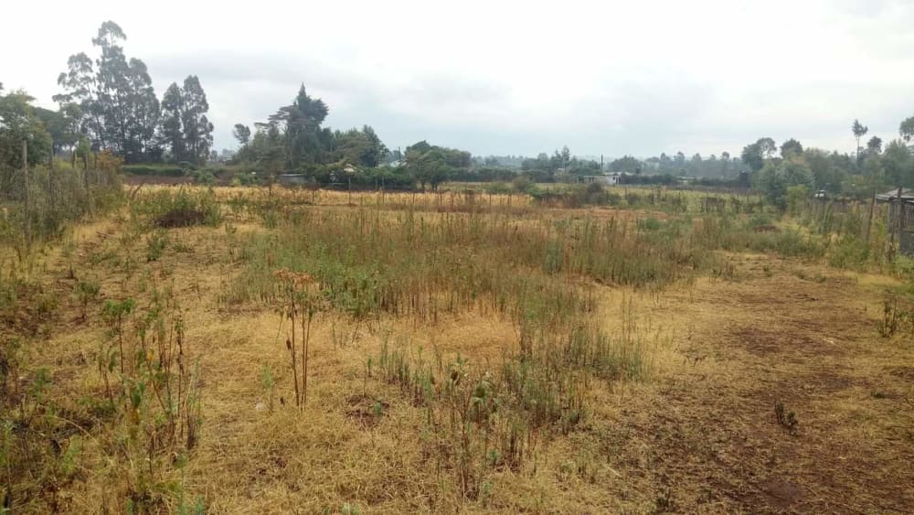 Land for sale in Ngecha, Limuru