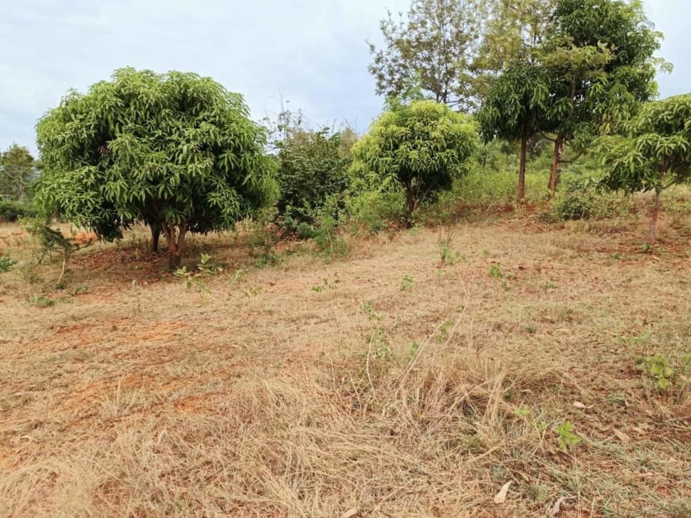 Land for sale in Makuyu