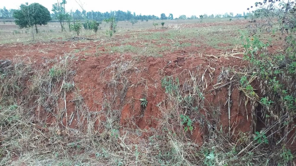 Land for sale in Makuyu