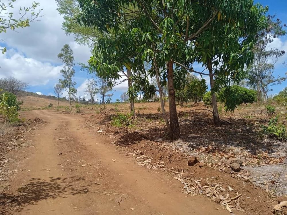 Land for sale in Makuyu